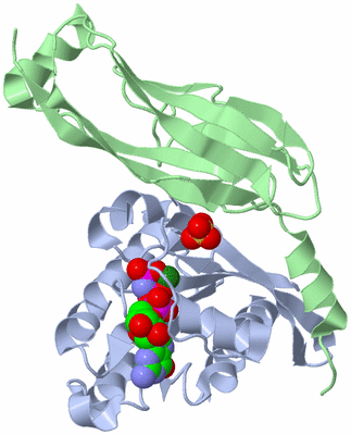 Image Biological Unit 1