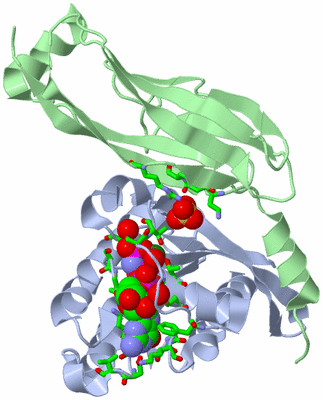 Image Biol. Unit 1 - sites
