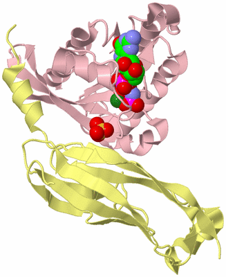 Image Biological Unit 2