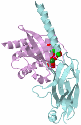 Image Biological Unit 3