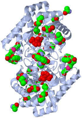 Image Biological Unit 1