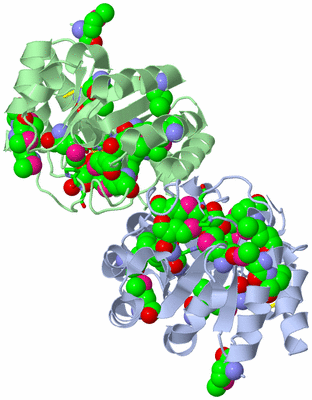 Image Asym./Biol. Unit - sites