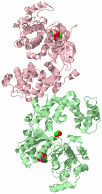 Image Biological Unit 2