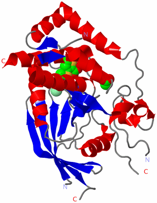 Image Asym./Biol. Unit