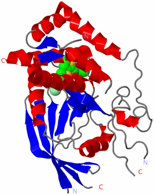 Image Asym./Biol. Unit