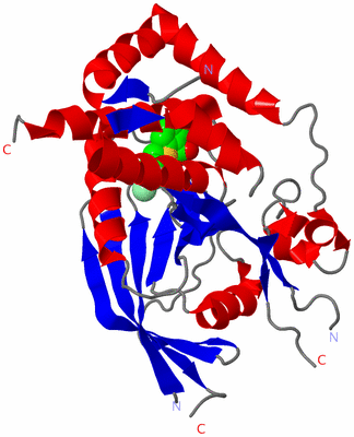 Image Asym./Biol. Unit