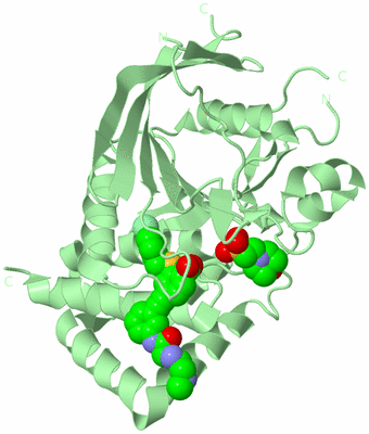 Image Biological Unit 2