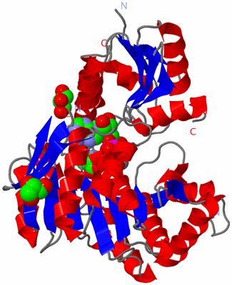 Image Asym./Biol. Unit