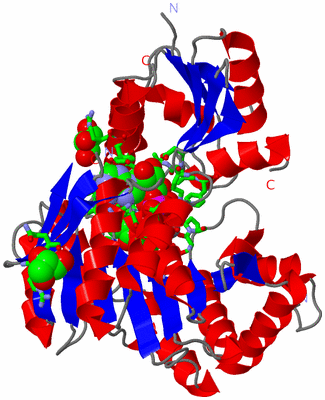 Image Asym./Biol. Unit - sites