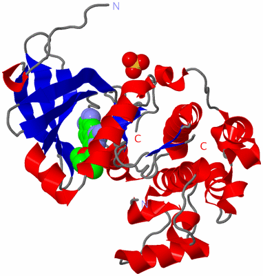 Image Asym./Biol. Unit