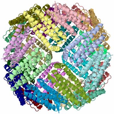 Image Asym./Biol. Unit