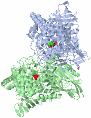 Image Asym./Biol. Unit