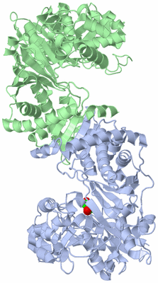 Image Biological Unit 1