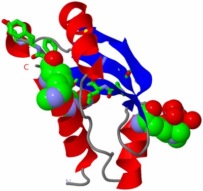 Image Asym./Biol. Unit - sites