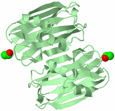 Image Biological Unit 3