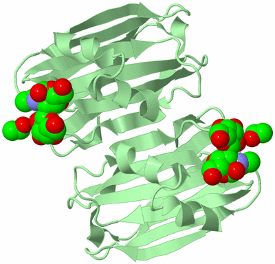 Image Biological Unit 3