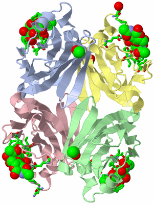 Image Biol. Unit 1 - sites