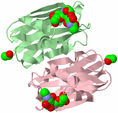 Image Biological Unit 3