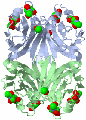 Image Biological Unit 1