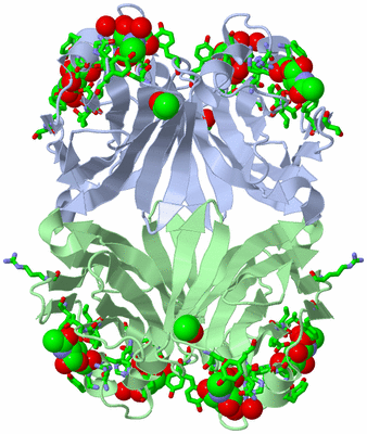 Image Biol. Unit 1 - sites