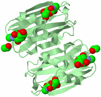 Image Biological Unit 3