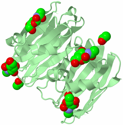 Image Biological Unit 3