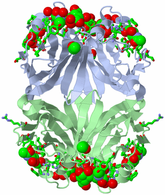 Image Biol. Unit 1 - sites