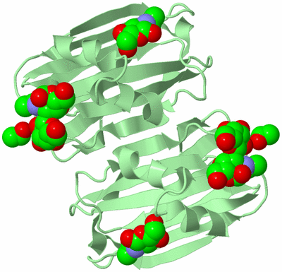 Image Biological Unit 3