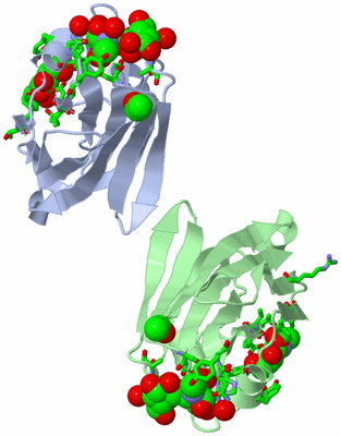 Image Asym. Unit - sites