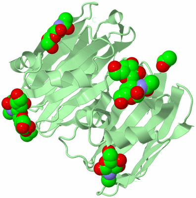 Image Biological Unit 3