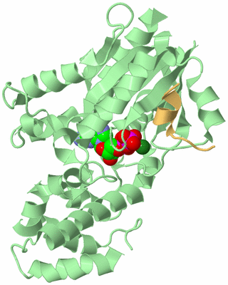 Image Biological Unit 2