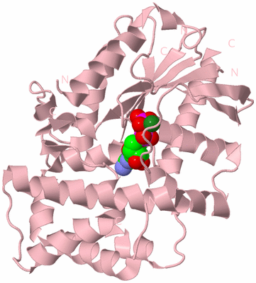 Image Biological Unit 3