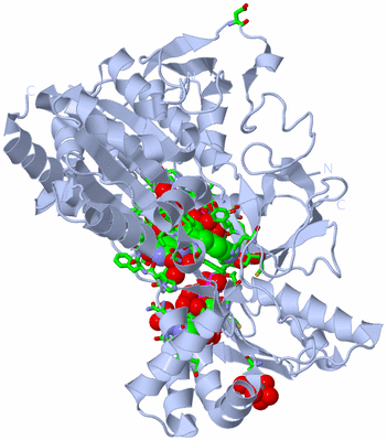 Image Biol. Unit 1 - sites