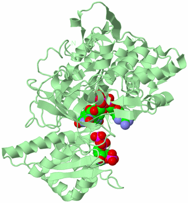 Image Biological Unit 2