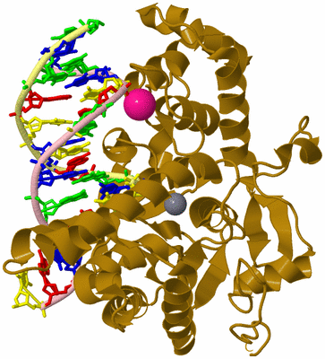 Image Biological Unit 1