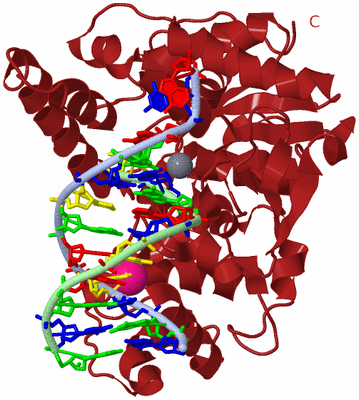 Image Biological Unit 2