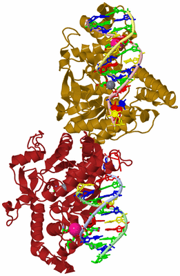 Image Asym. Unit - sites