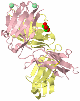 Image Biological Unit 2