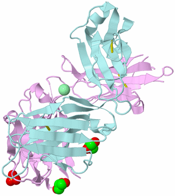 Image Biological Unit 3