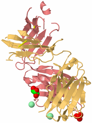 Image Biological Unit 4