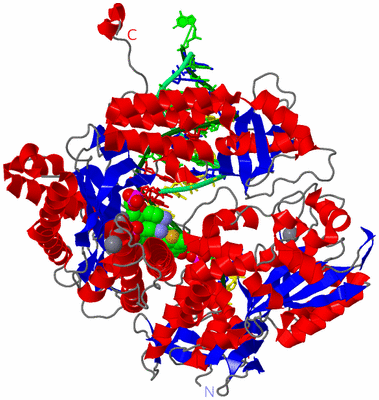 Image Asym./Biol. Unit