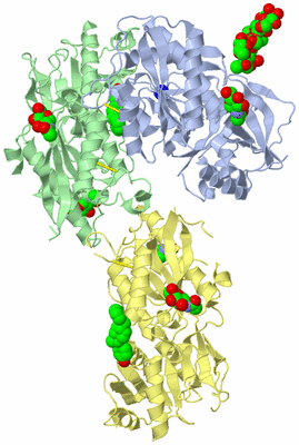 Image Biological Unit 1