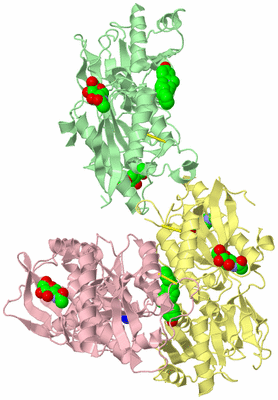 Image Biological Unit 2