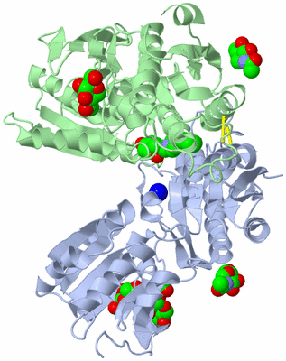 Image Biological Unit 1