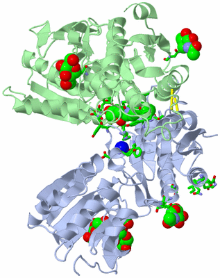 Image Biol. Unit 1 - sites