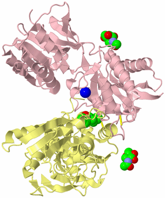 Image Biological Unit 2