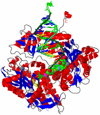 Image Asym./Biol. Unit