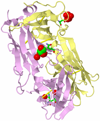 Image Biol. Unit 1 - sites