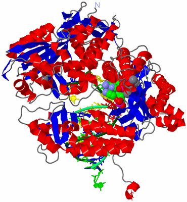 Image Asym./Biol. Unit