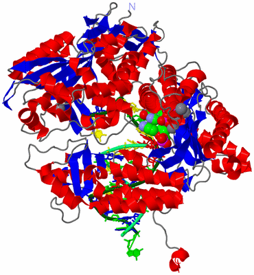 Image Asym./Biol. Unit